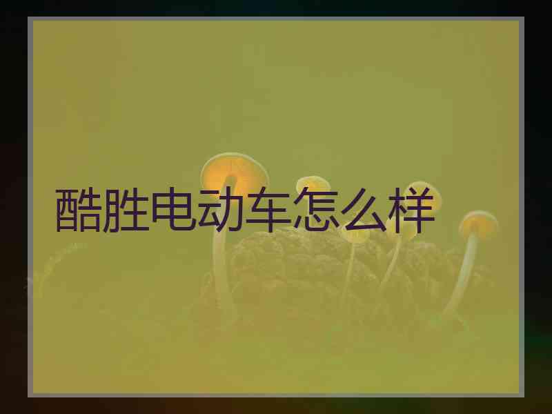酷胜电动车怎么样