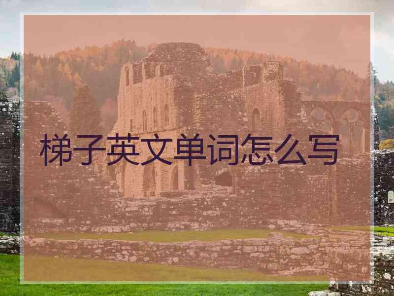 梯子英文单词怎么写