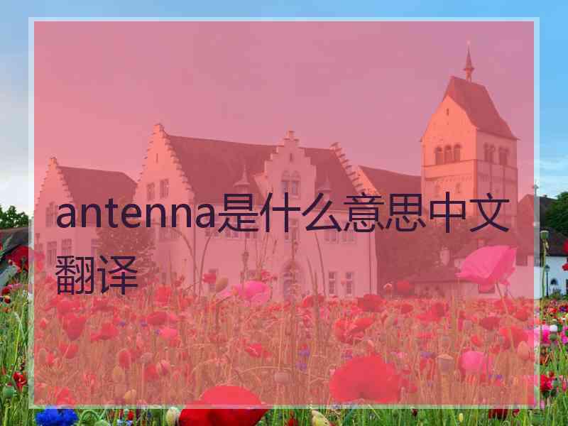 antenna是什么意思中文翻译