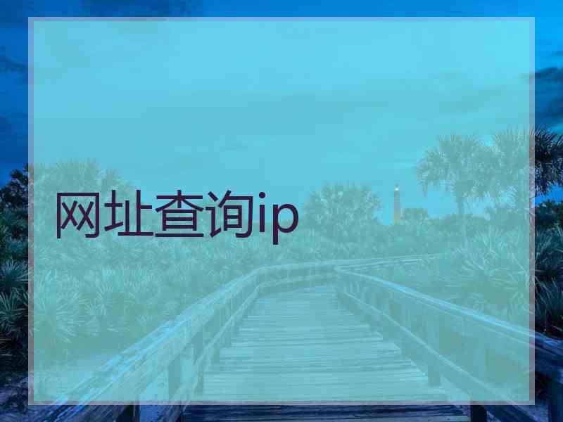 网址查询ip