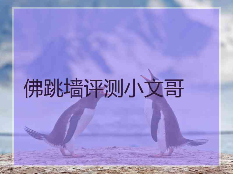 佛跳墙评测小文哥