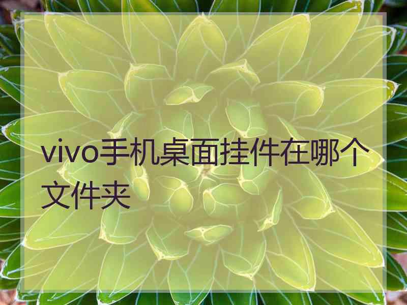 vivo手机桌面挂件在哪个文件夹