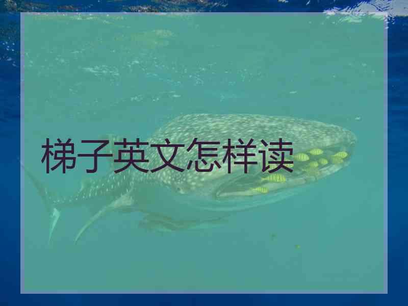 梯子英文怎样读