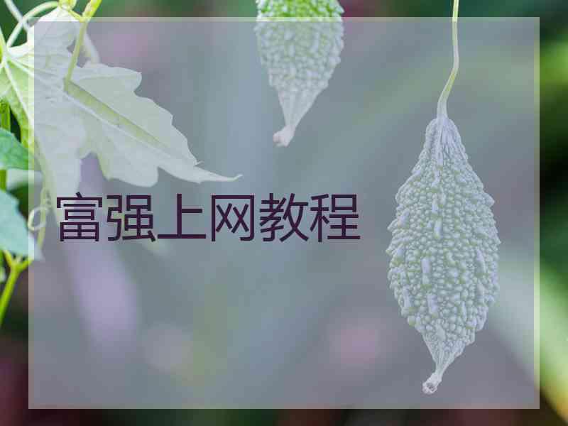 富强上网教程