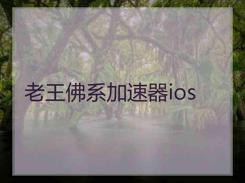 老王佛系加速器ios