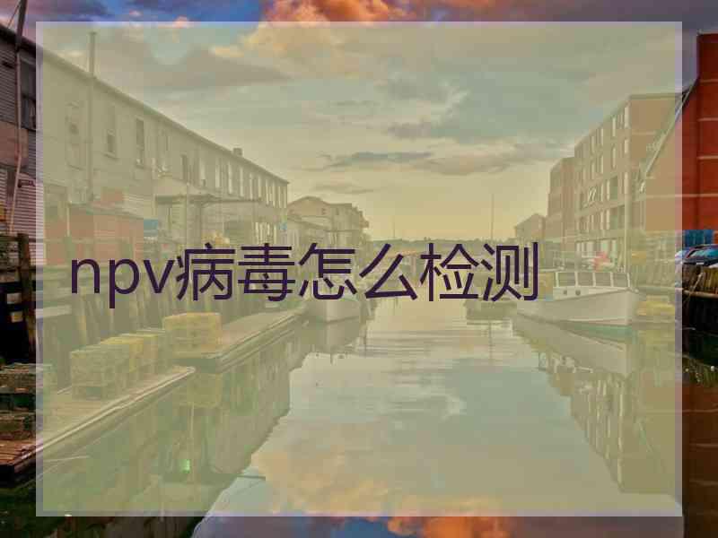 npv病毒怎么检测
