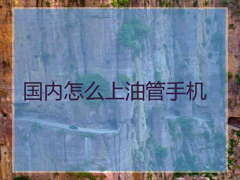国内怎么上油管手机