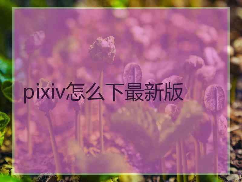 pixiv怎么下最新版