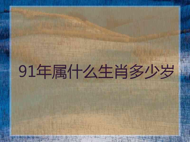 91年属什么生肖多少岁
