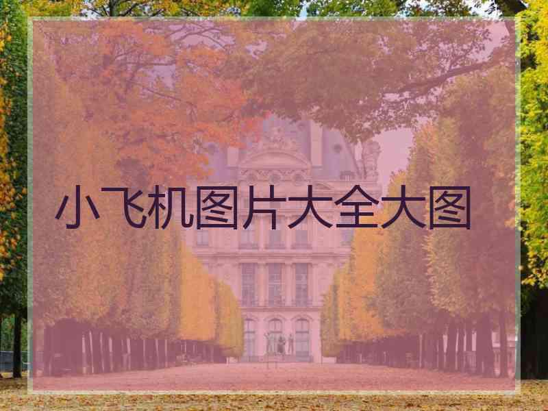 小飞机图片大全大图