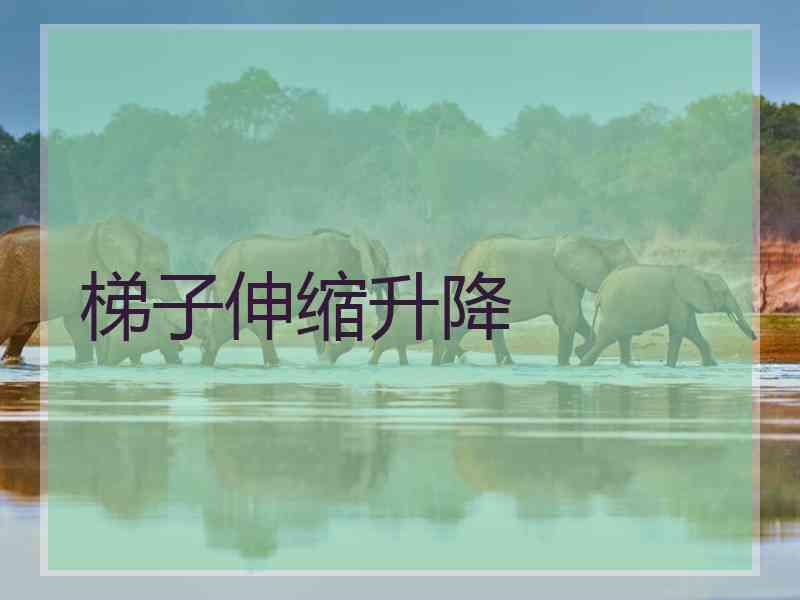 梯子伸缩升降
