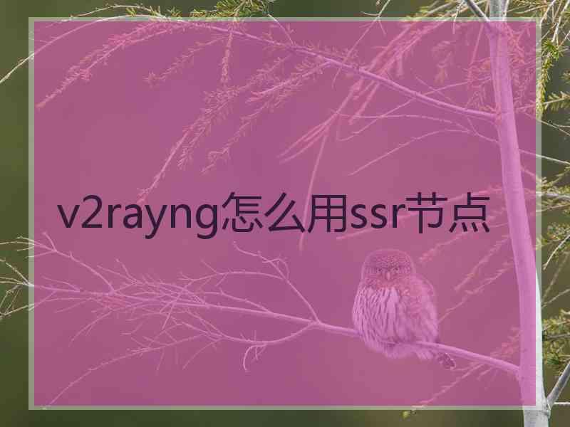 v2rayng怎么用ssr节点