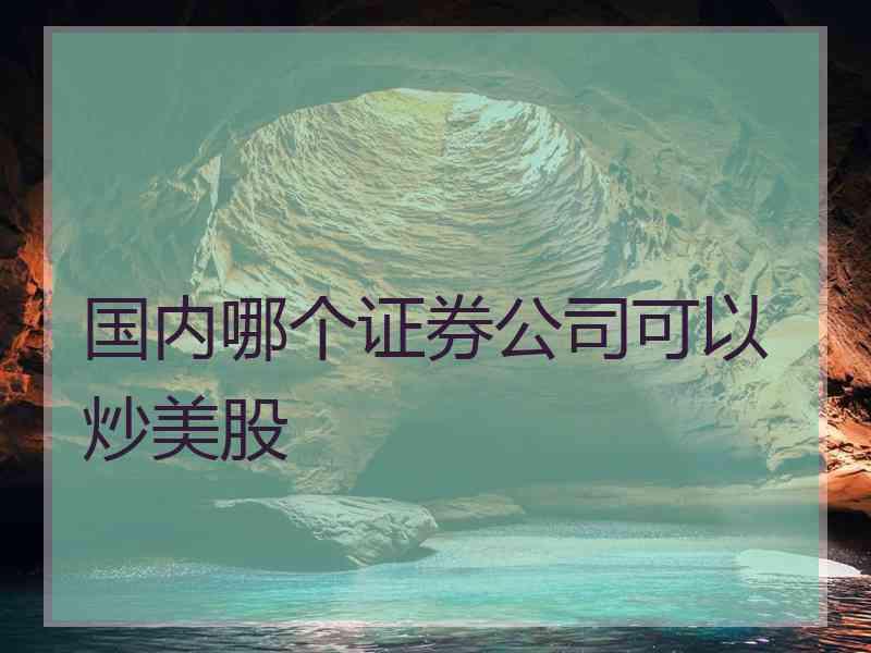 国内哪个证券公司可以炒美股