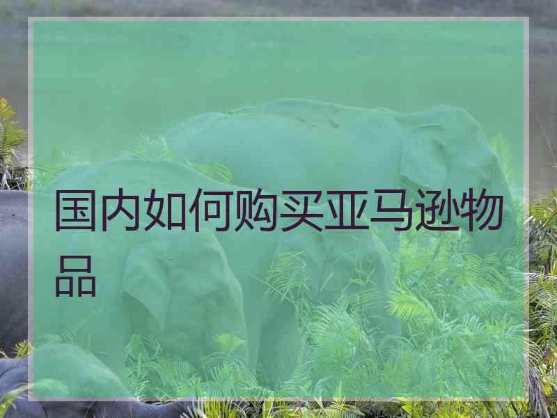 国内如何购买亚马逊物品