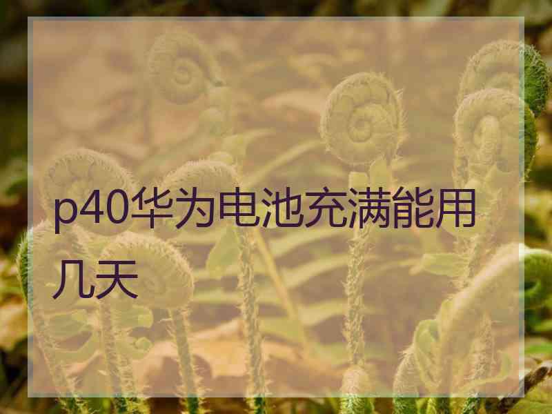 p40华为电池充满能用几天