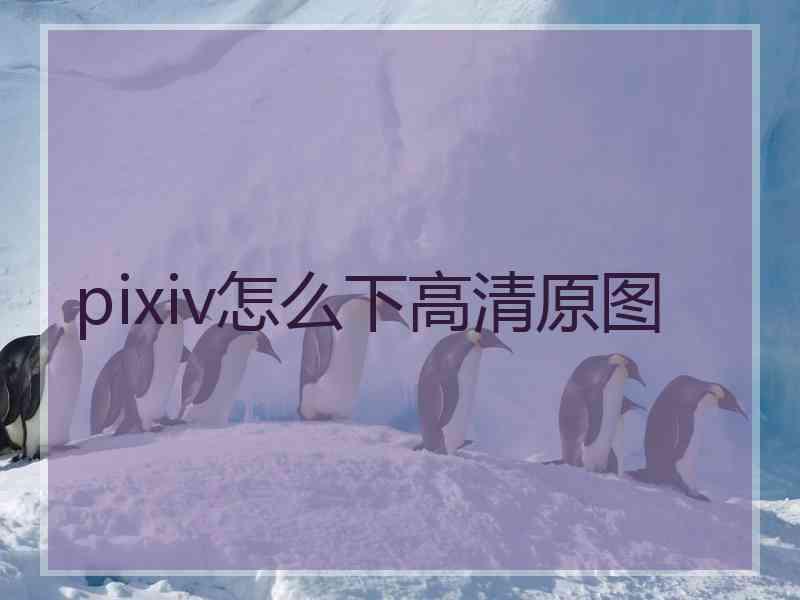 pixiv怎么下高清原图