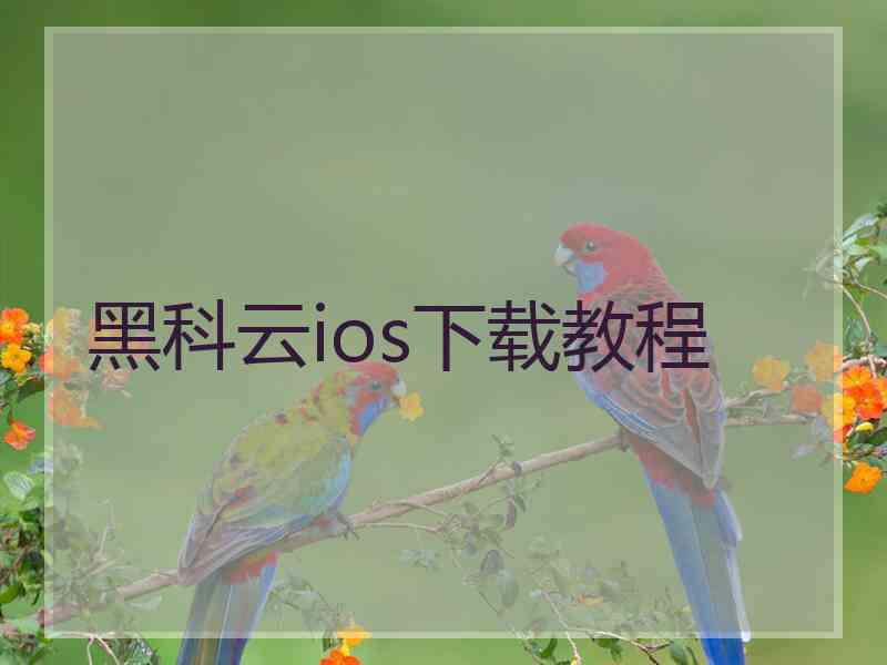 黑科云ios下载教程