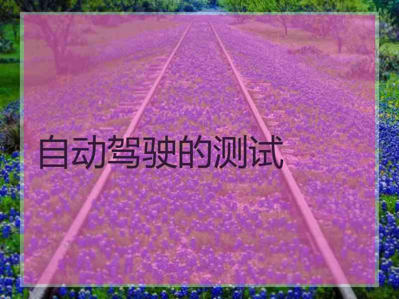 自动驾驶的测试