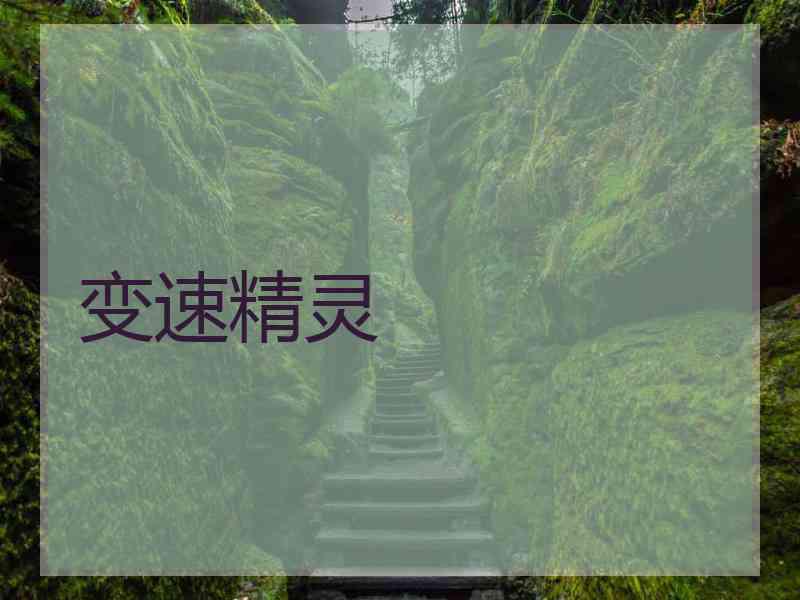 变速精灵