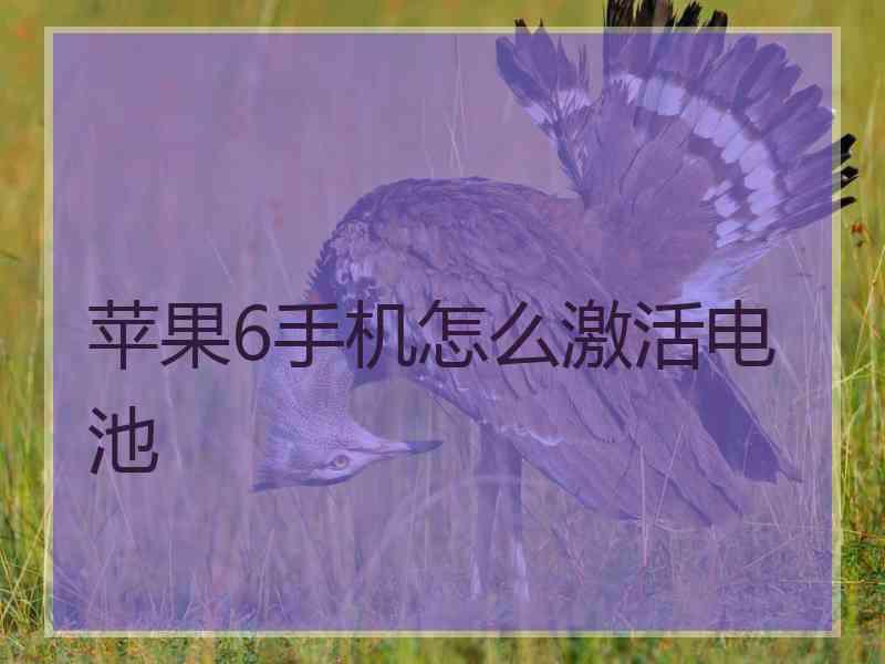 苹果6手机怎么激活电池