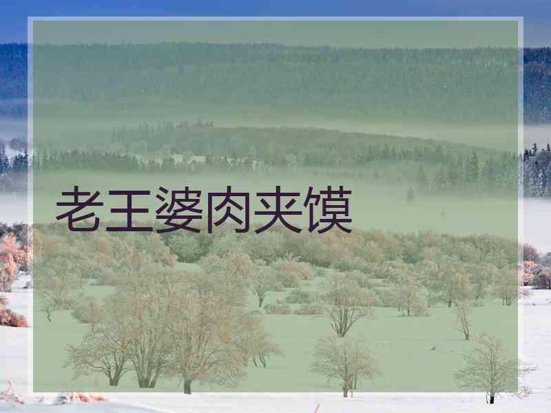 老王婆肉夹馍