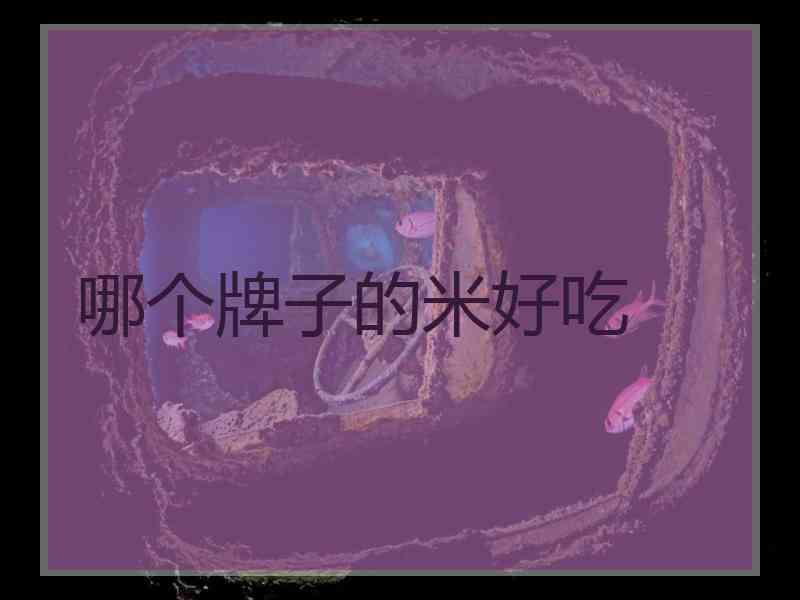 哪个牌子的米好吃