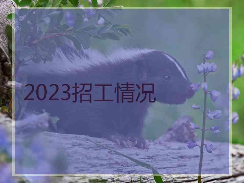 2023招工情况