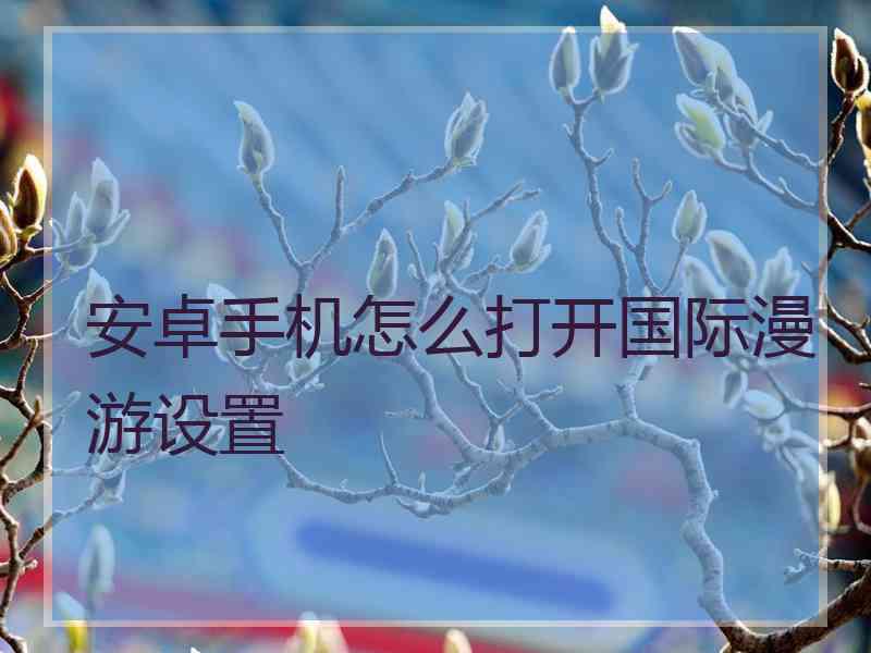 安卓手机怎么打开国际漫游设置