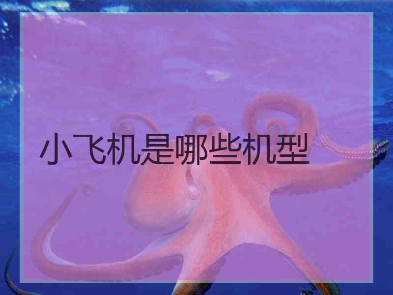 小飞机是哪些机型