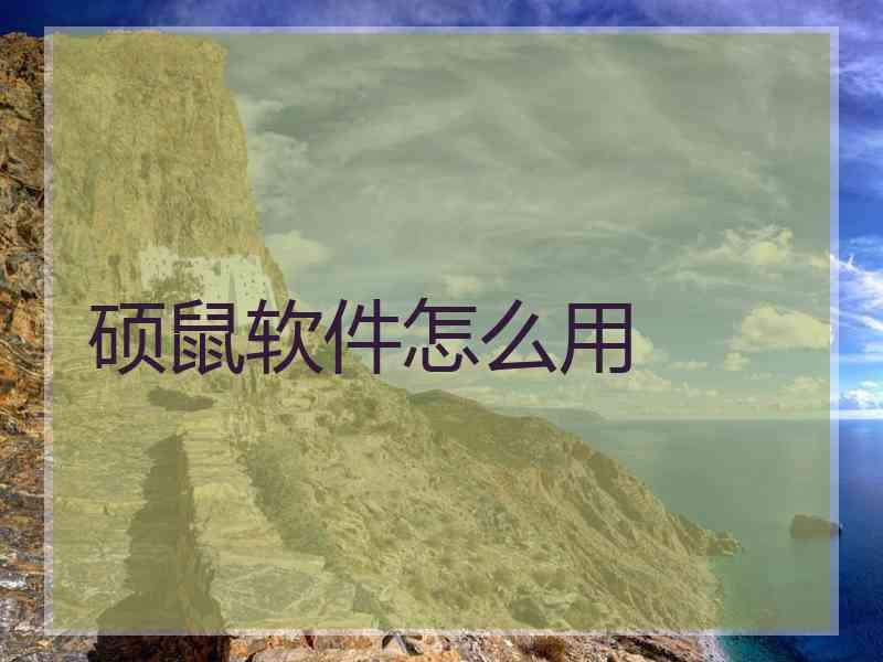 硕鼠软件怎么用