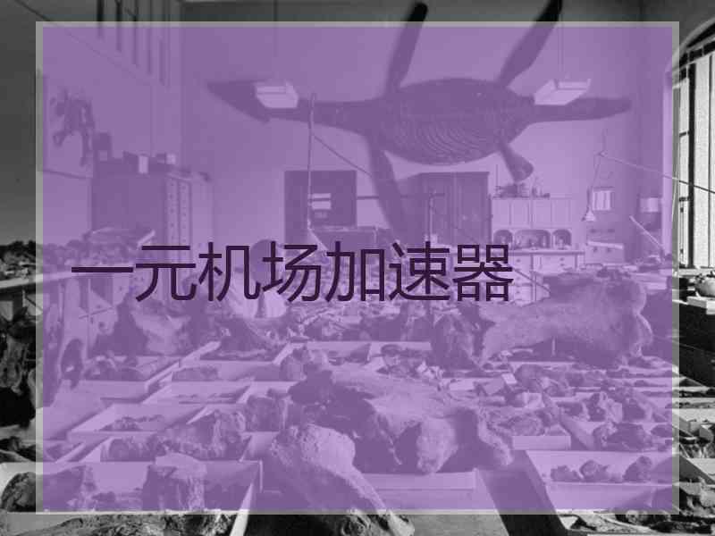 一元机场加速器