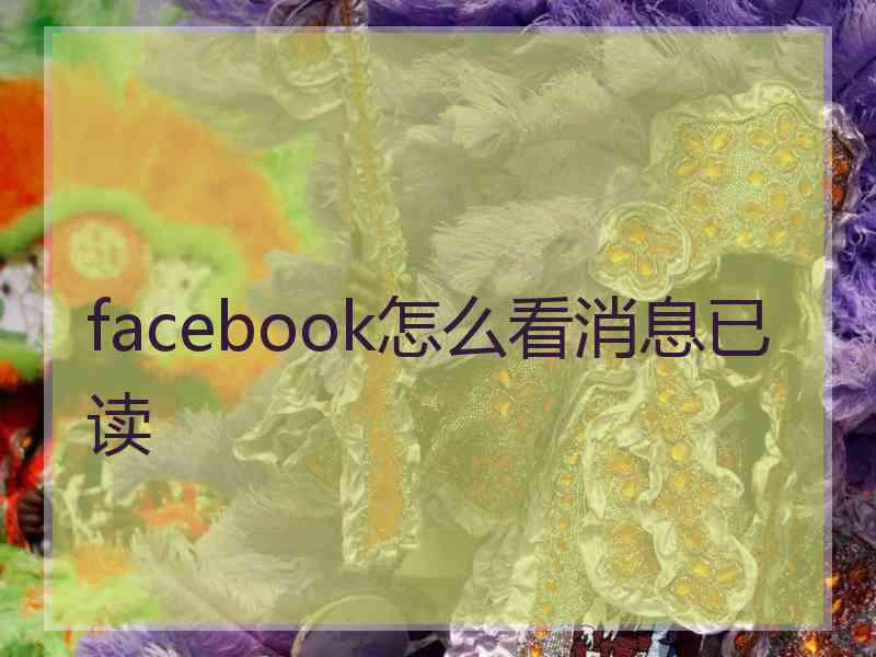 facebook怎么看消息已读