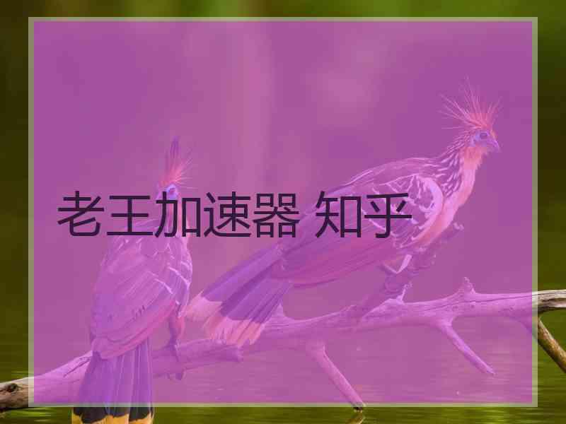 老王加速器 知乎