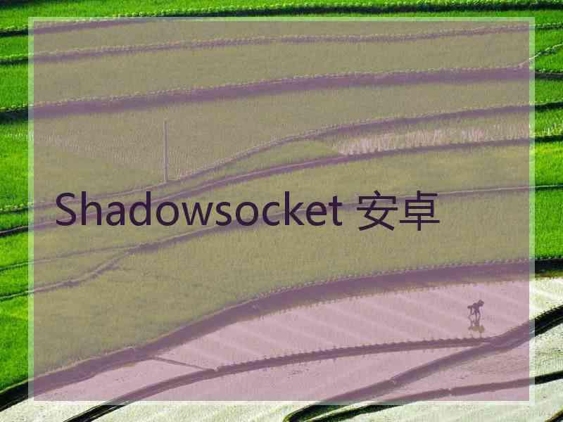 Shadowsocket 安卓
