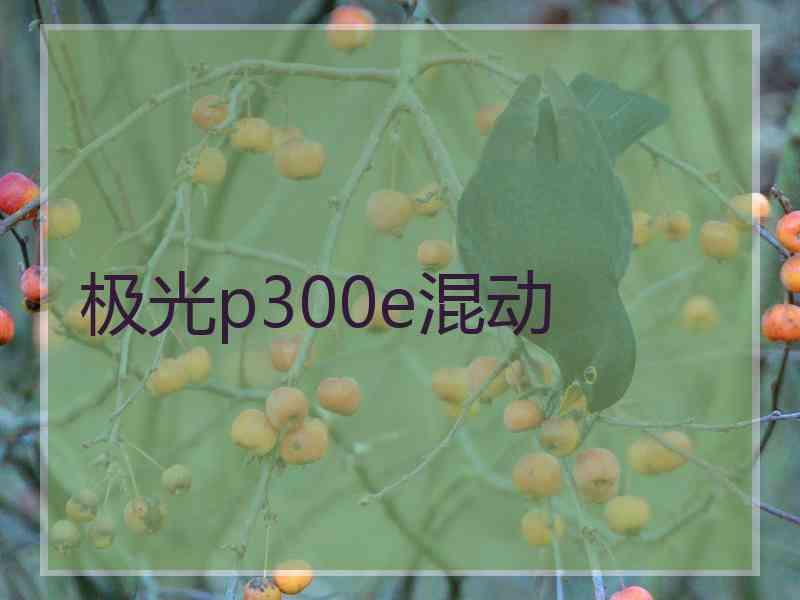 极光p300e混动