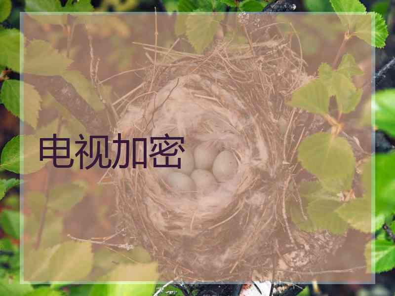电视加密