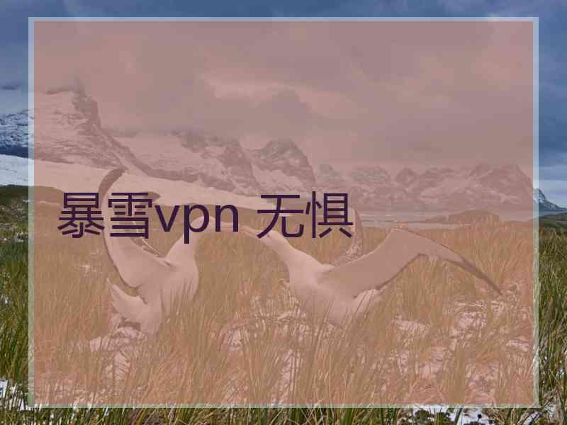 暴雪vpn 无惧