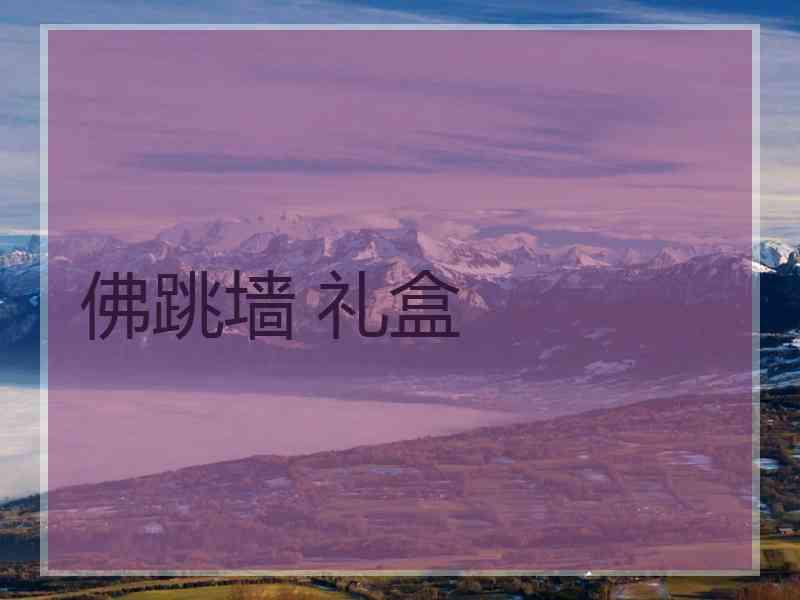 佛跳墙 礼盒