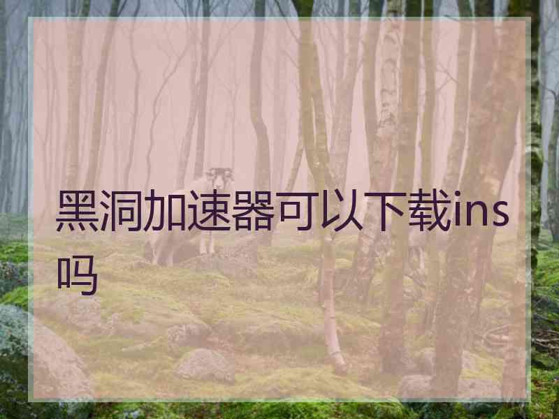 黑洞加速器可以下载ins吗