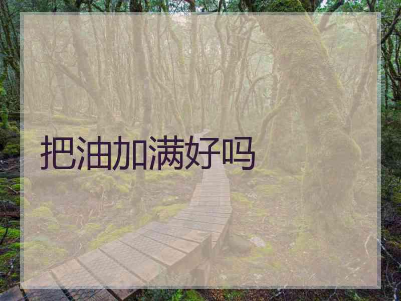 把油加满好吗