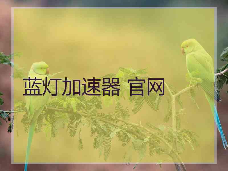 蓝灯加速器 官网