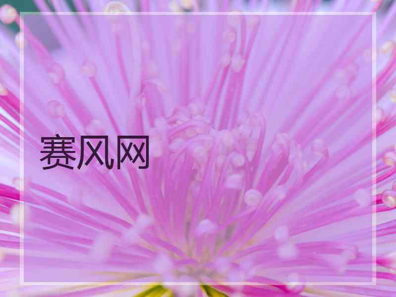 赛风网