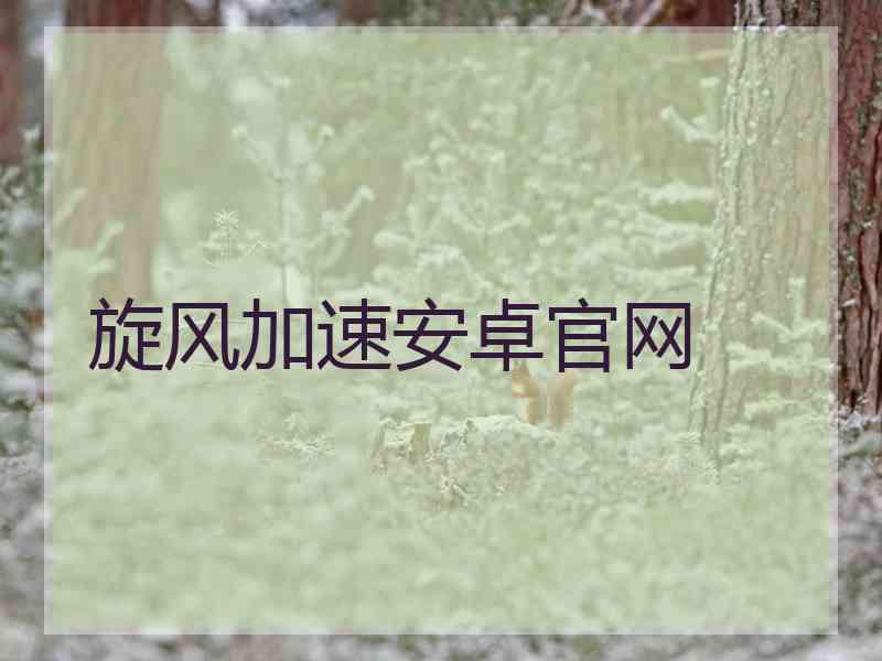 旋风加速安卓官网