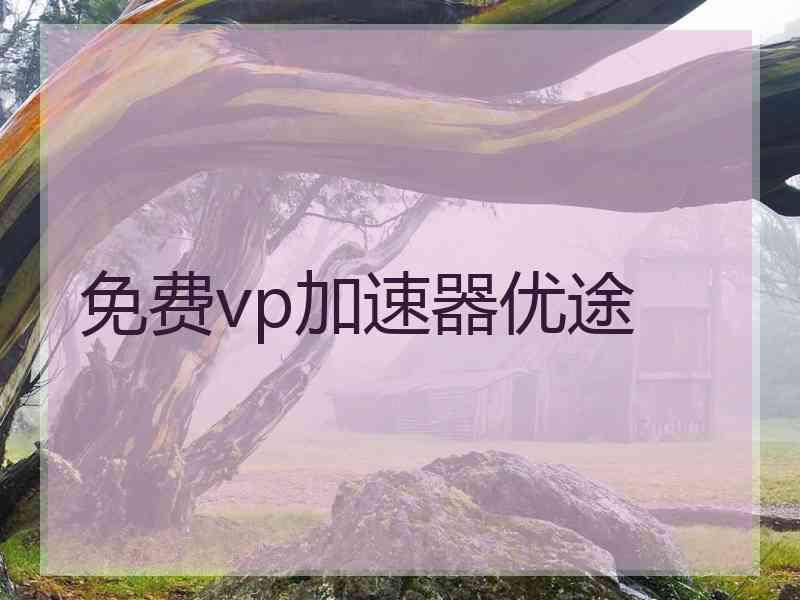 免费vp加速器优途