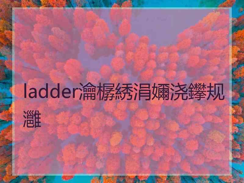 ladder瀹樼綉涓嬭浇鑻规灉
