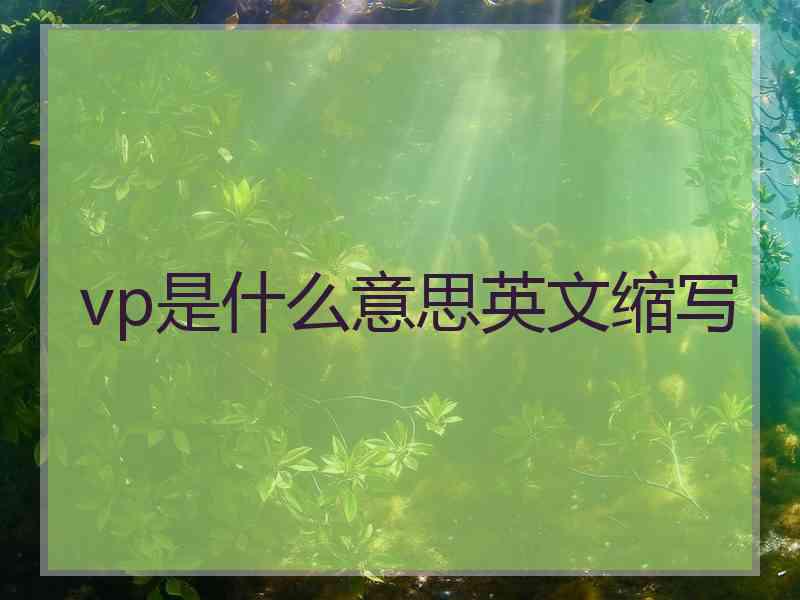 vp是什么意思英文缩写