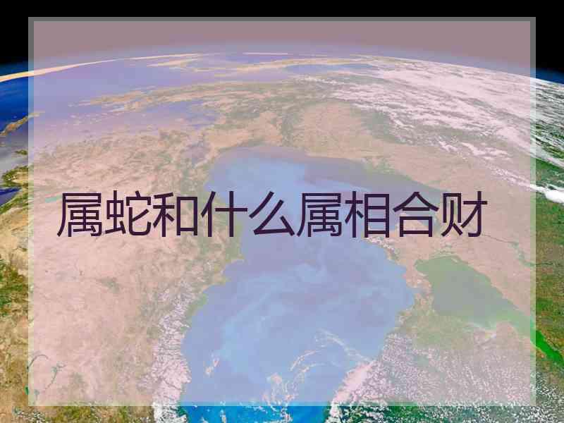 属蛇和什么属相合财