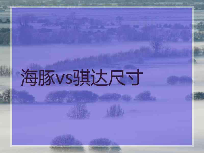 海豚vs骐达尺寸