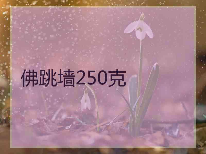 佛跳墙250克