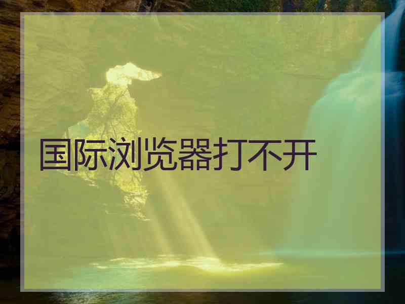 国际浏览器打不开